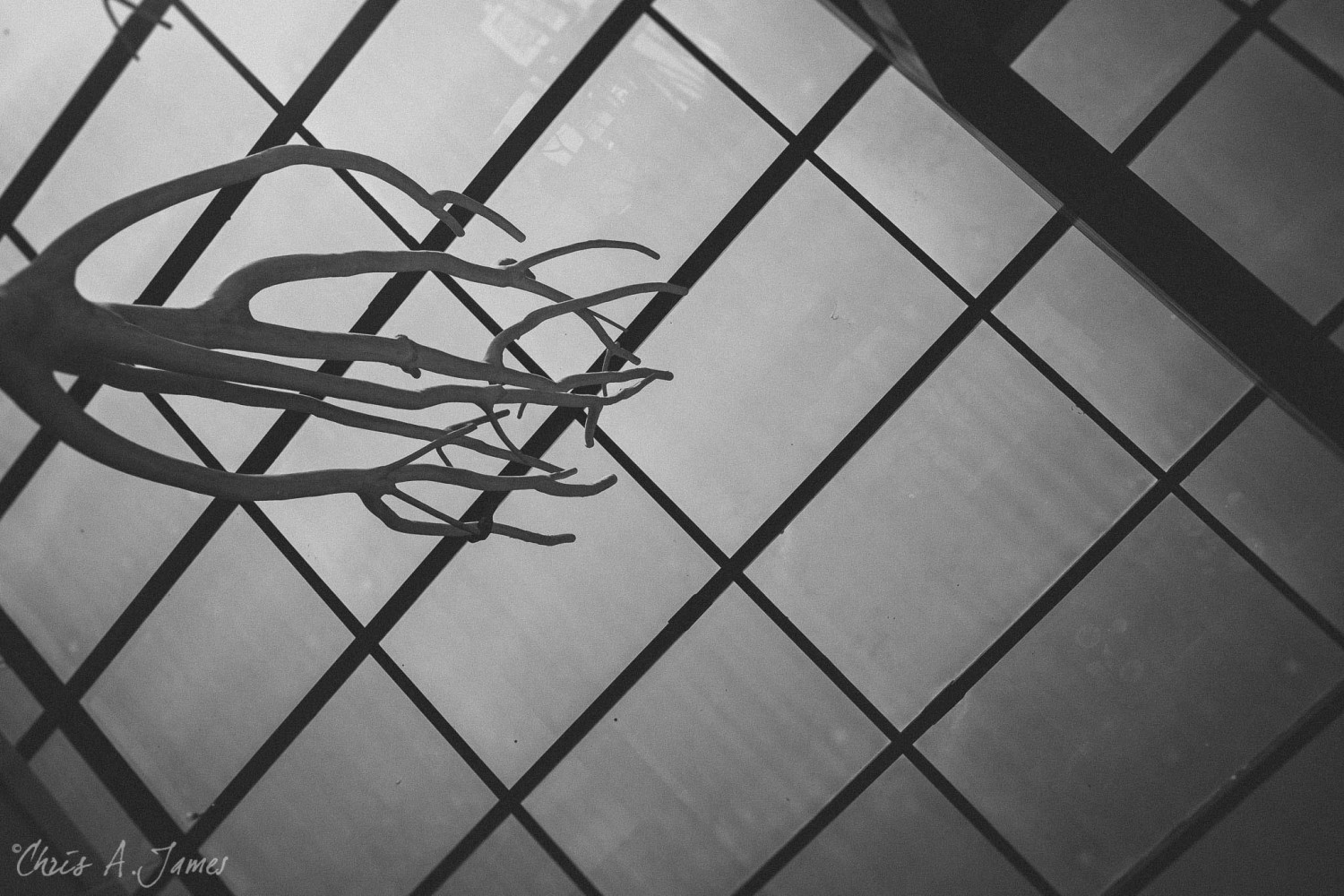 Phuket - Chris A James