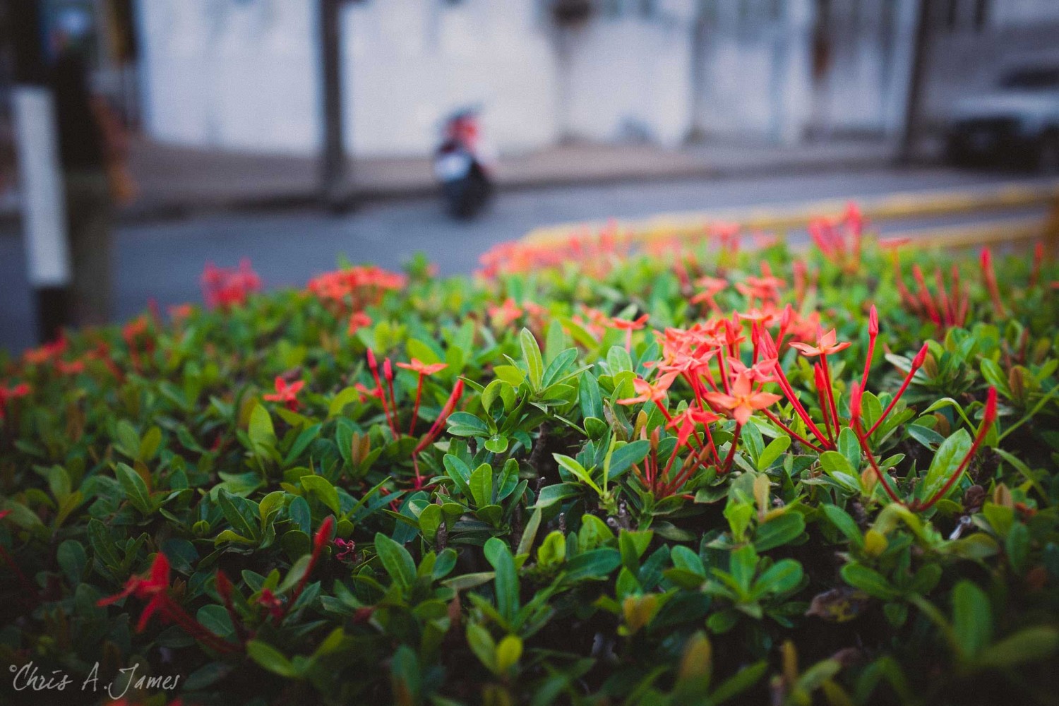 Phuket - Chris A James