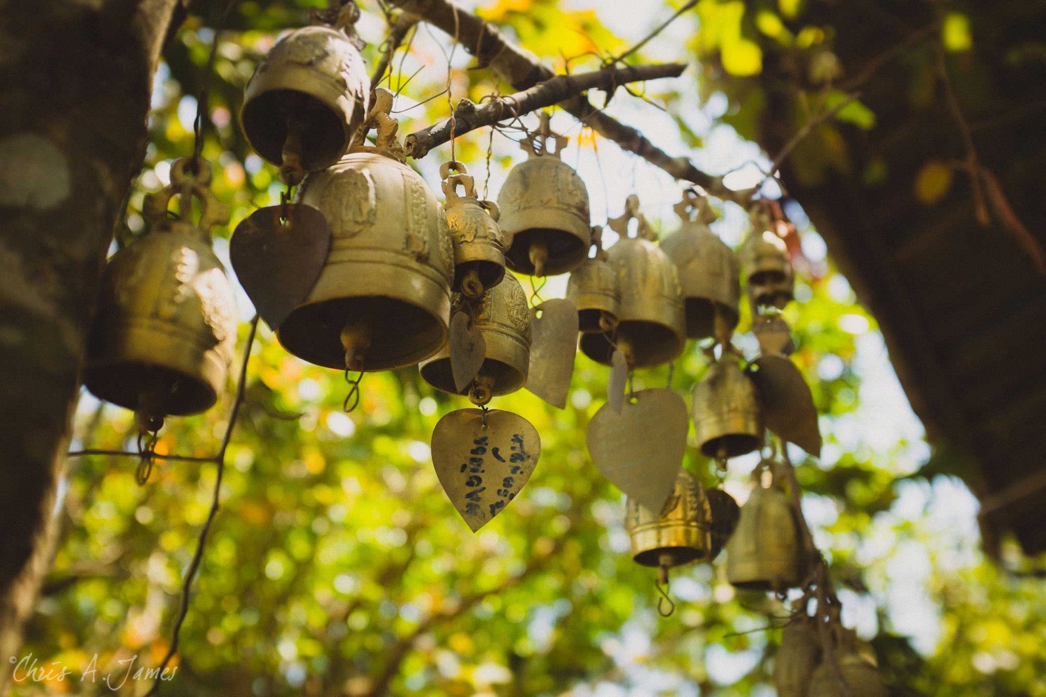 Phuket - Chris A James