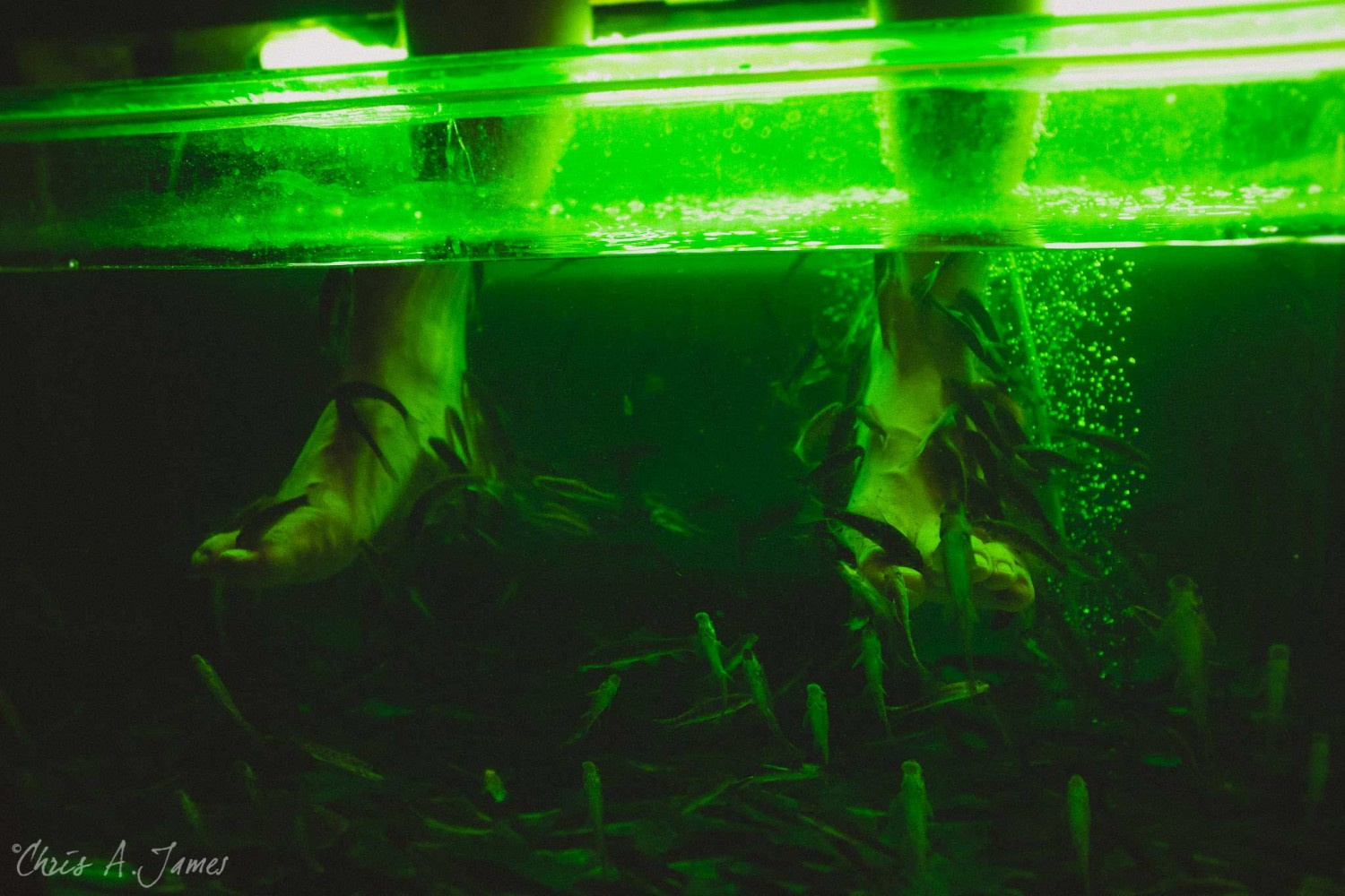 Phuket - Chris A James